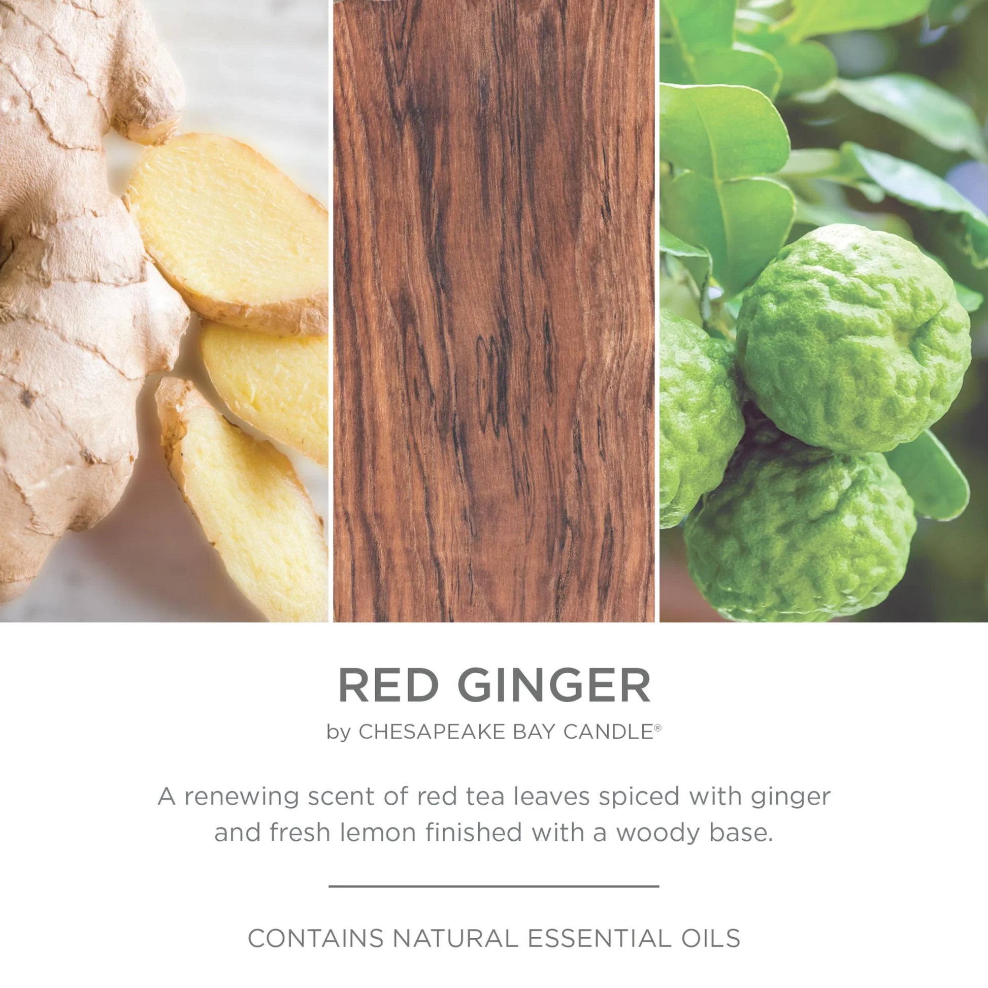 Chesapeake Bay Red Ginger - 14.9Oz Soft-Touch 3-Wick Ceramic Candle